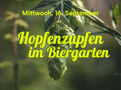 16. September | Hopfenzupfen